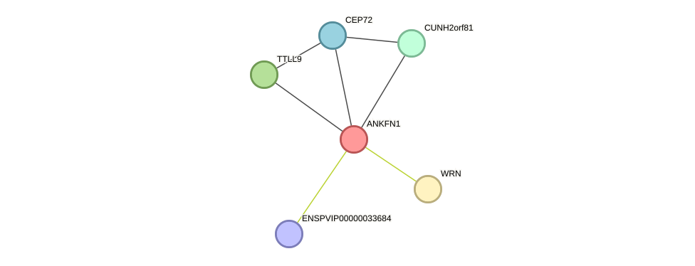 STRING protein interaction network