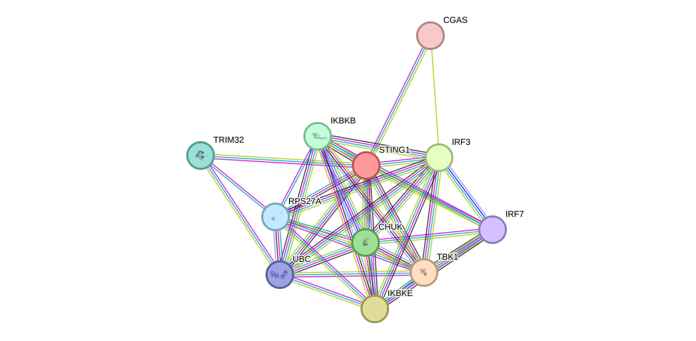STRING protein interaction network