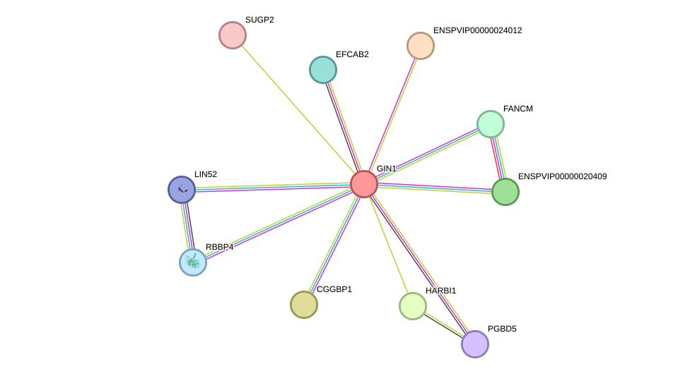 STRING protein interaction network