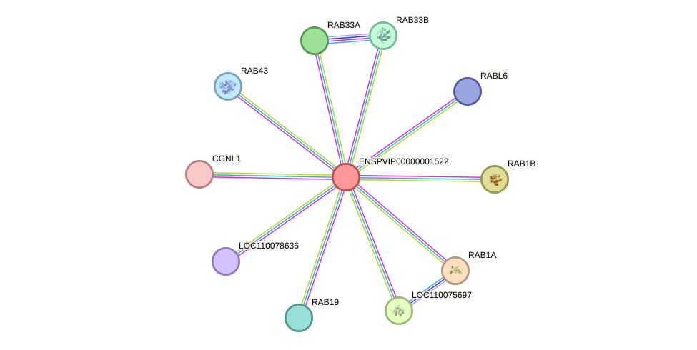STRING protein interaction network
