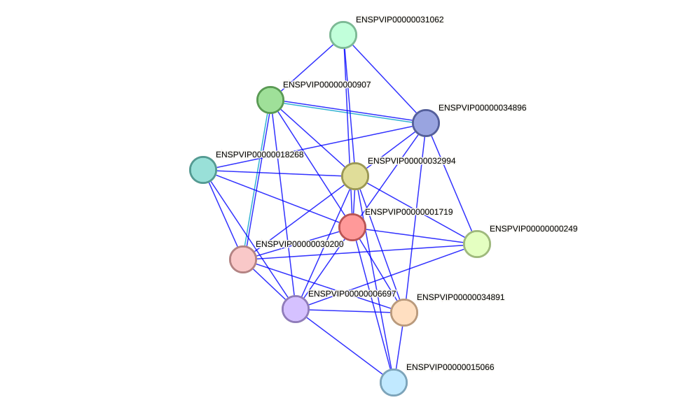 STRING protein interaction network