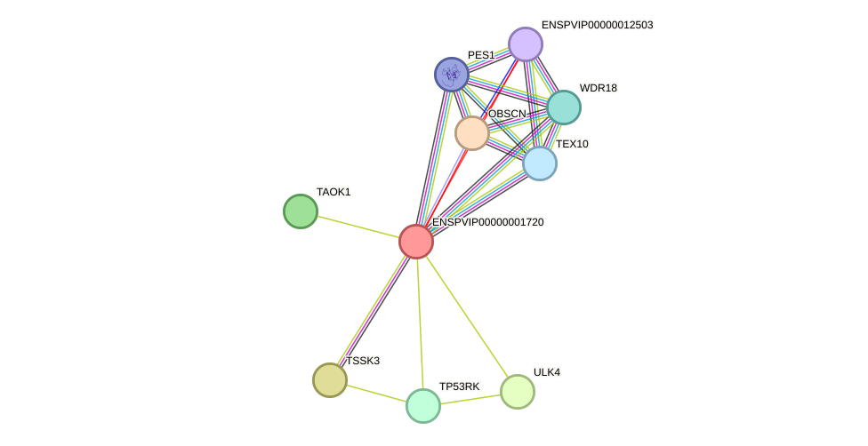STRING protein interaction network
