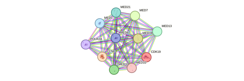 STRING protein interaction network