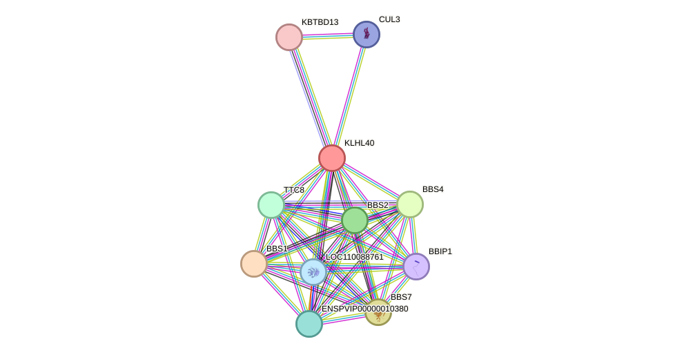 STRING protein interaction network