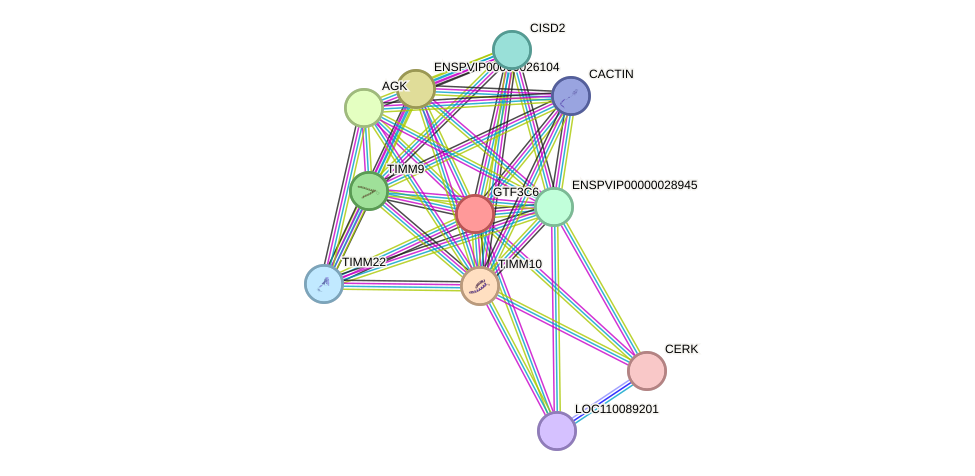 STRING protein interaction network