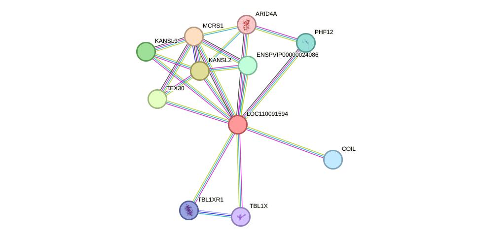 STRING protein interaction network
