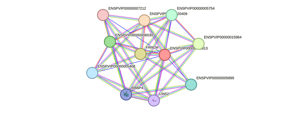 STRING protein interaction network