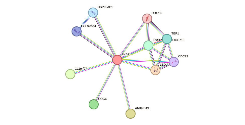 STRING protein interaction network