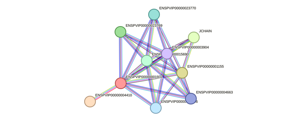 STRING protein interaction network