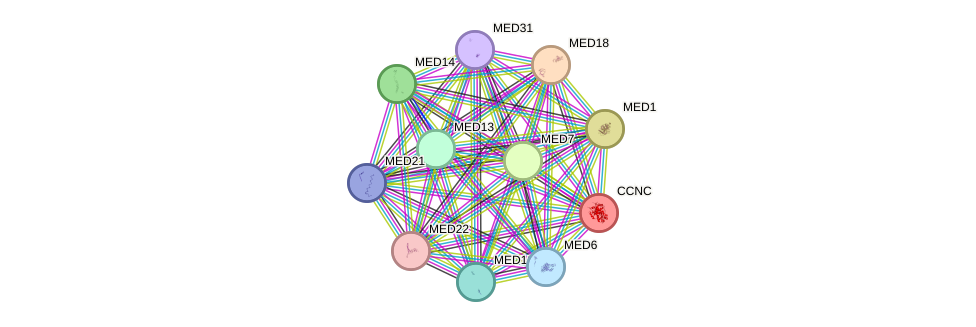 STRING protein interaction network