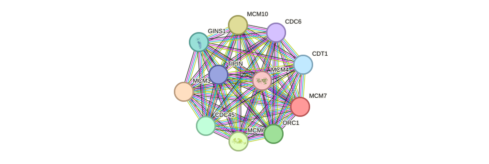 STRING protein interaction network
