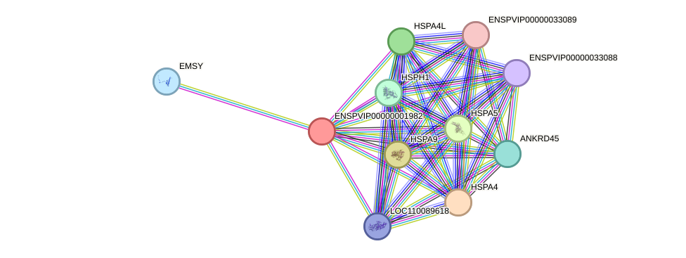 STRING protein interaction network