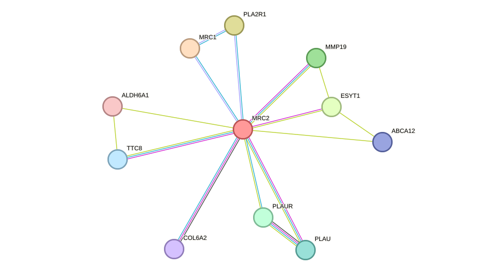 STRING protein interaction network