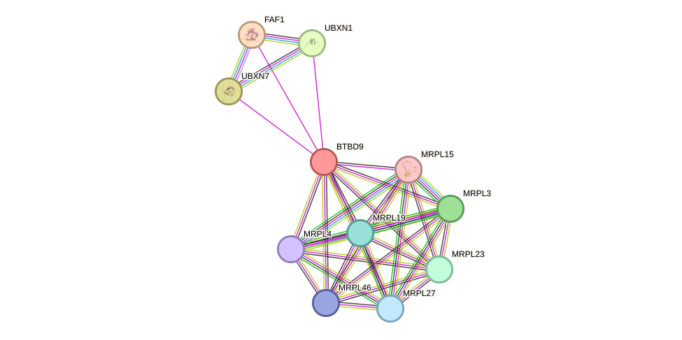 STRING protein interaction network