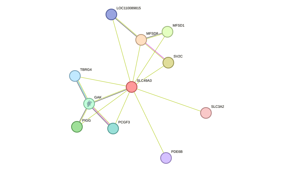 STRING protein interaction network