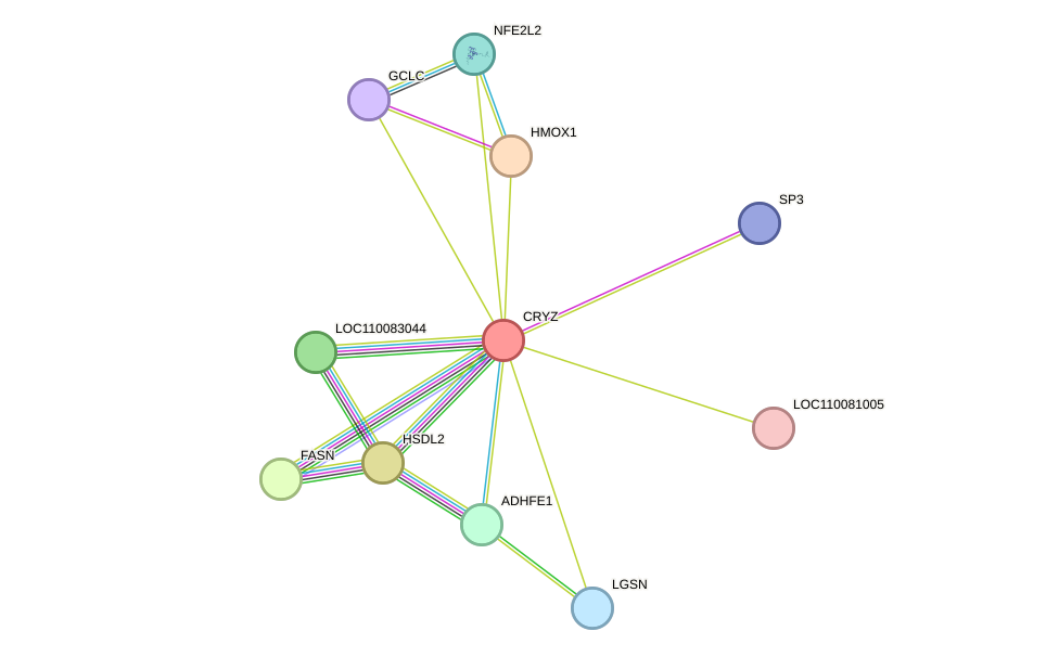 STRING protein interaction network