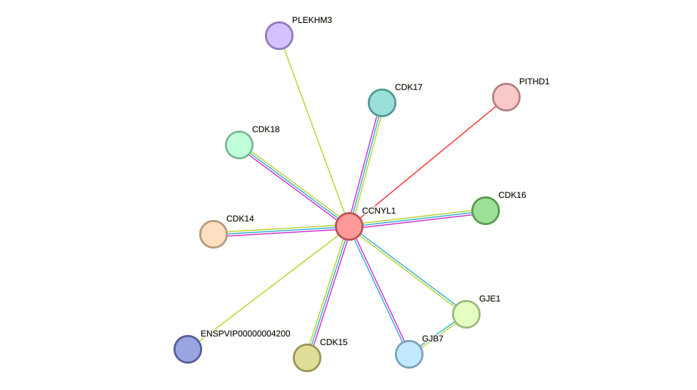 STRING protein interaction network