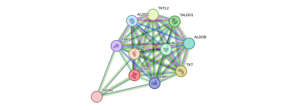 STRING protein interaction network