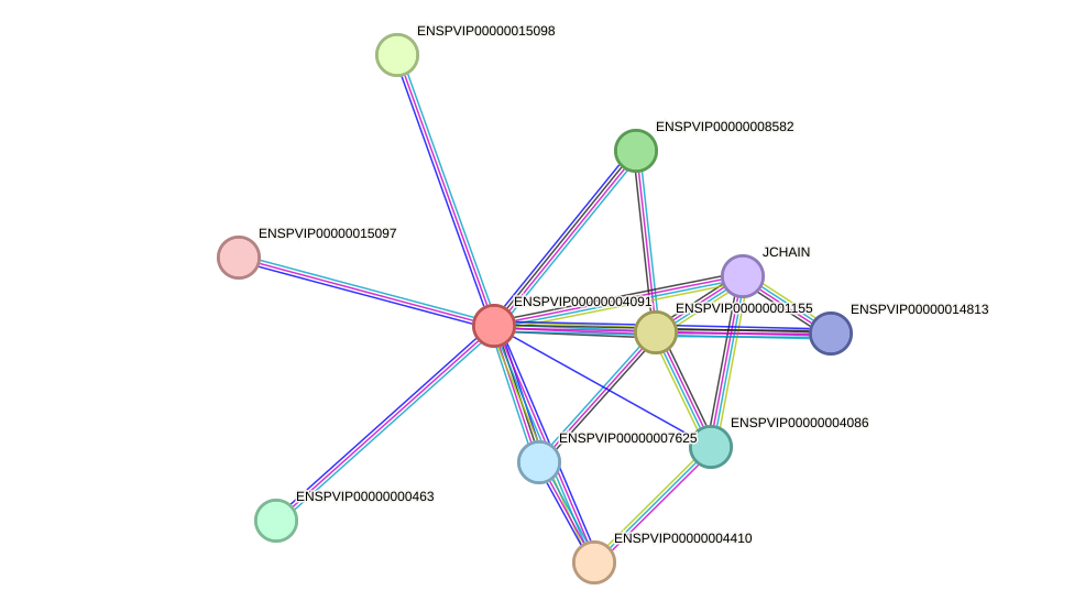 STRING protein interaction network
