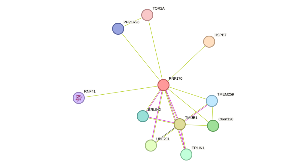 STRING protein interaction network