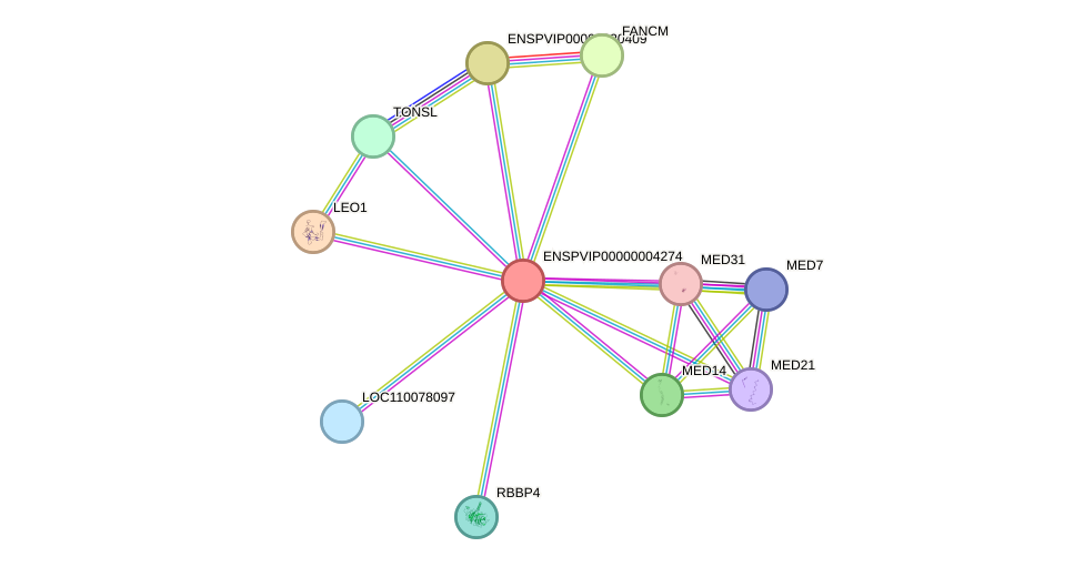 STRING protein interaction network