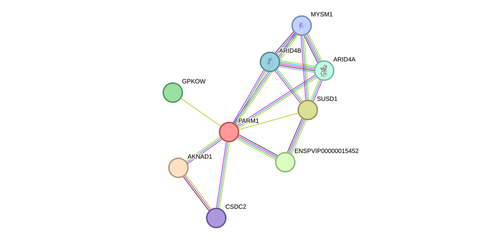 STRING protein interaction network