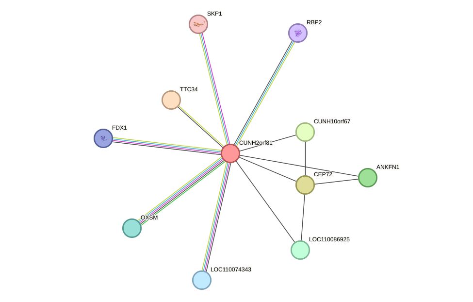 STRING protein interaction network