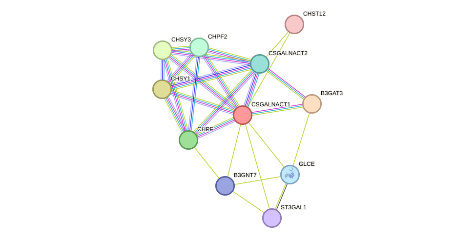 STRING protein interaction network