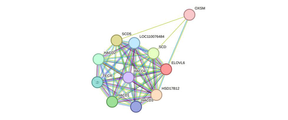 STRING protein interaction network