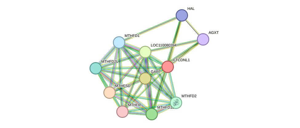 STRING protein interaction network