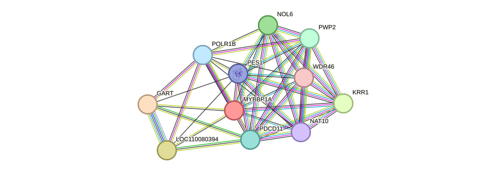 STRING protein interaction network