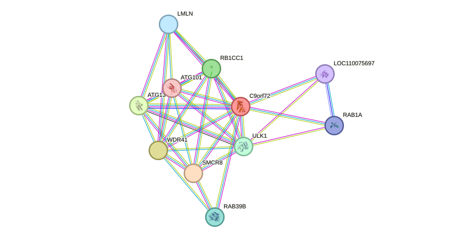STRING protein interaction network