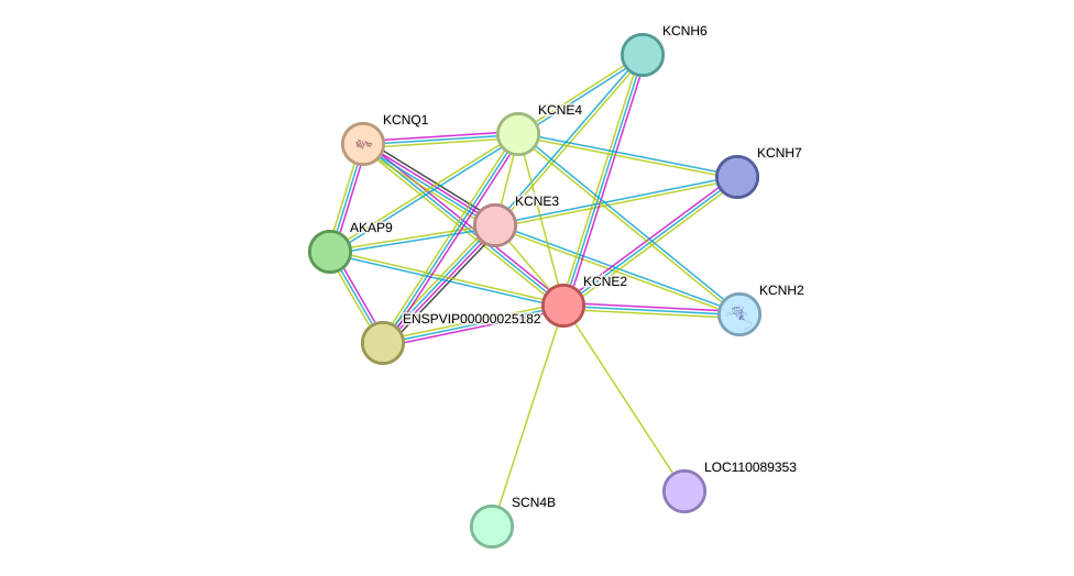 STRING protein interaction network