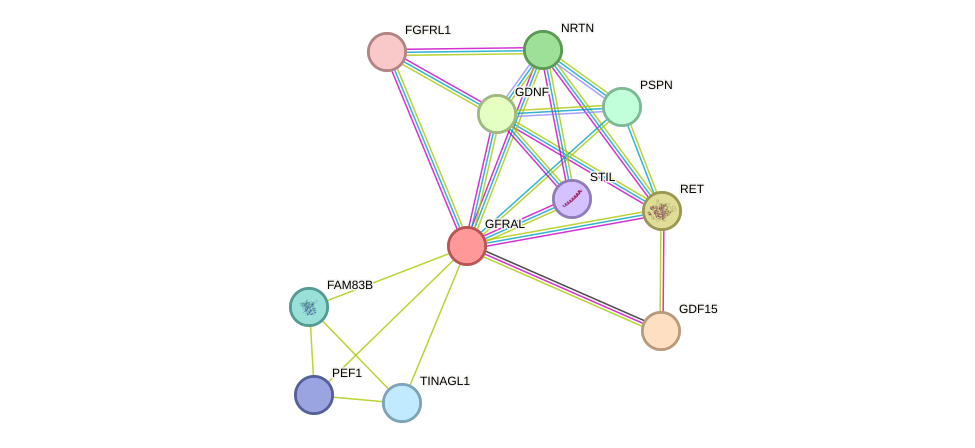 STRING protein interaction network