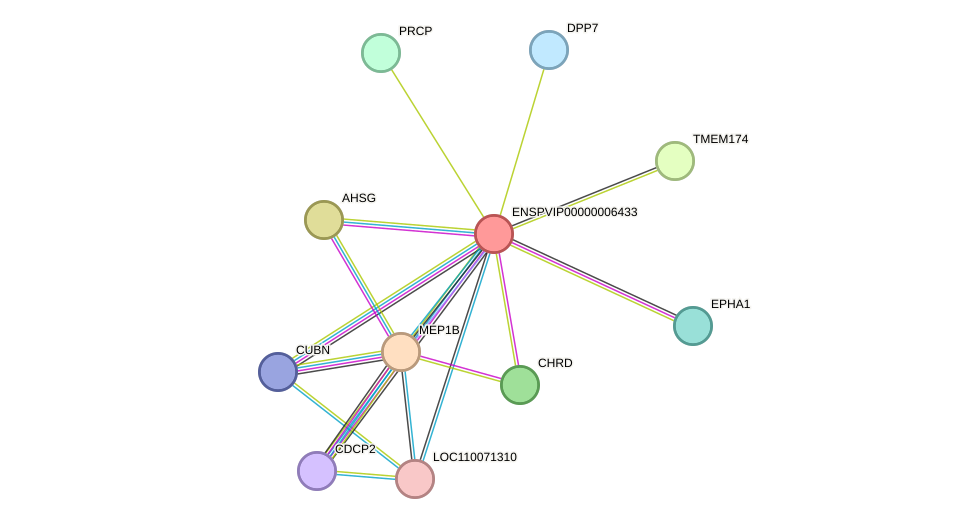 STRING protein interaction network