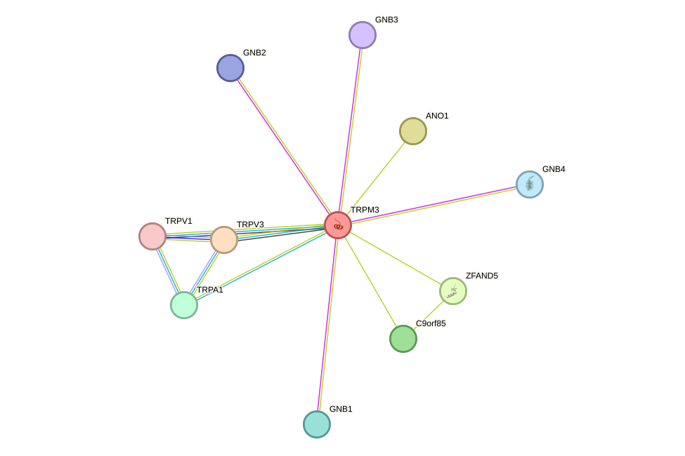STRING protein interaction network