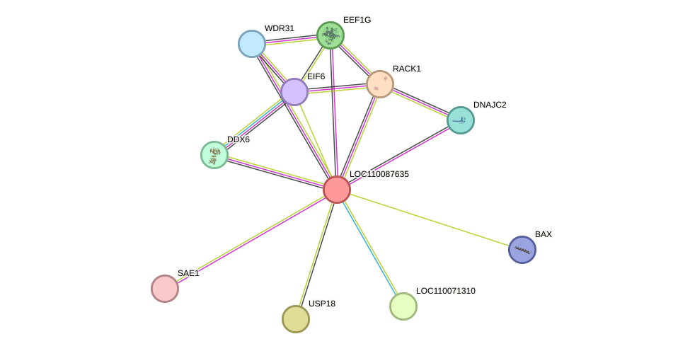 STRING protein interaction network