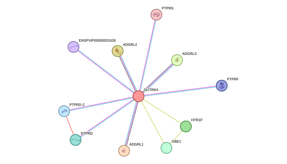 STRING protein interaction network