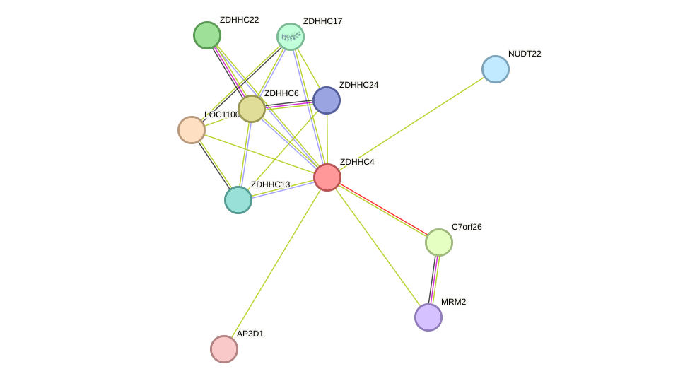 STRING protein interaction network