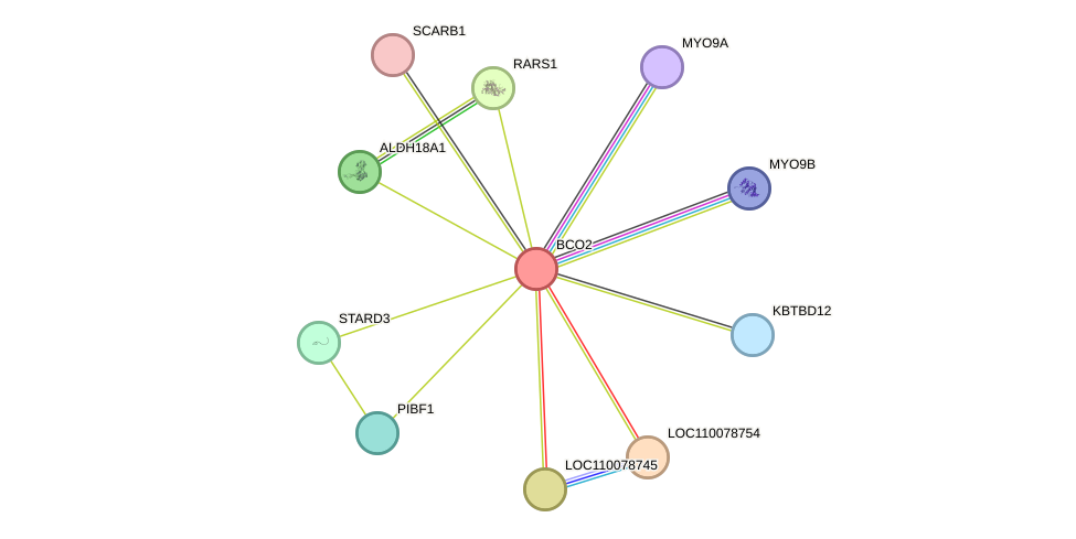 STRING protein interaction network