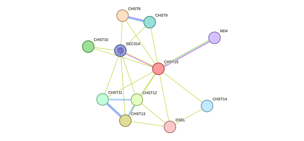STRING protein interaction network