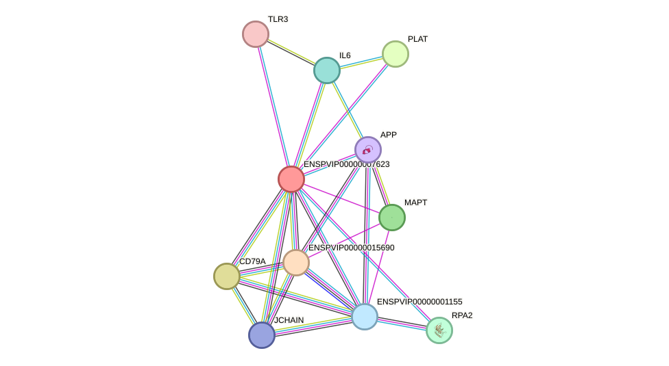 STRING protein interaction network