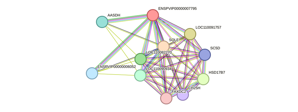 STRING protein interaction network