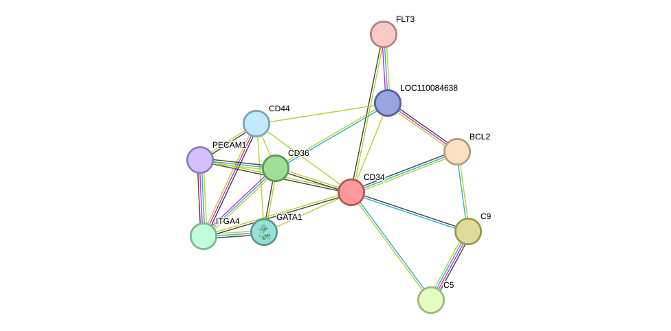 STRING protein interaction network