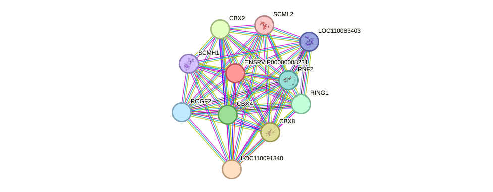 STRING protein interaction network
