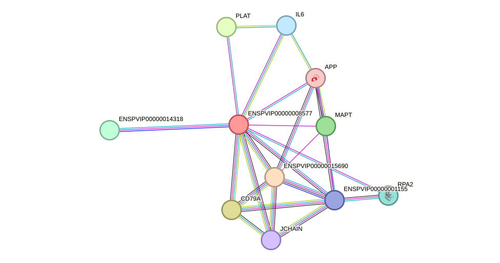 STRING protein interaction network