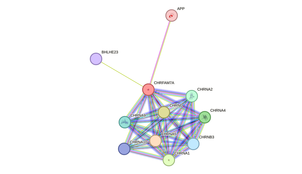 STRING protein interaction network