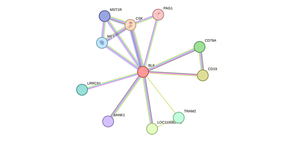 STRING protein interaction network