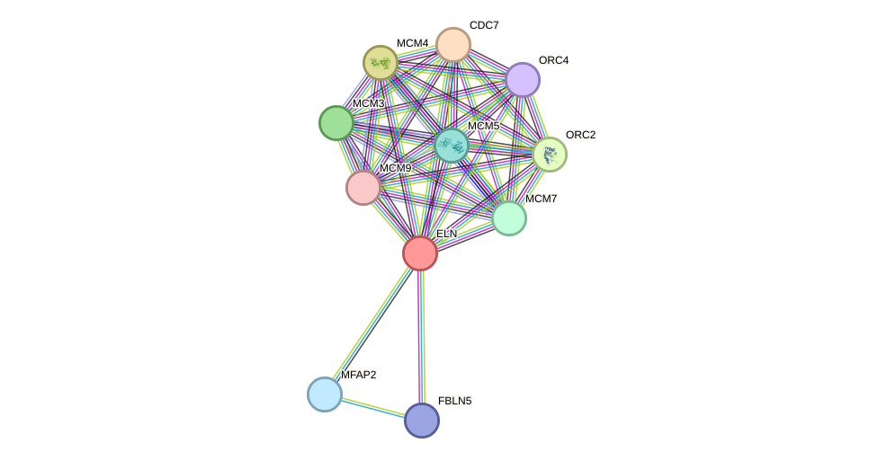 STRING protein interaction network