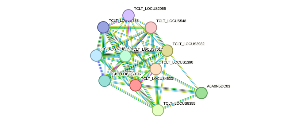 STRING protein interaction network
